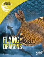 Flying_dragons